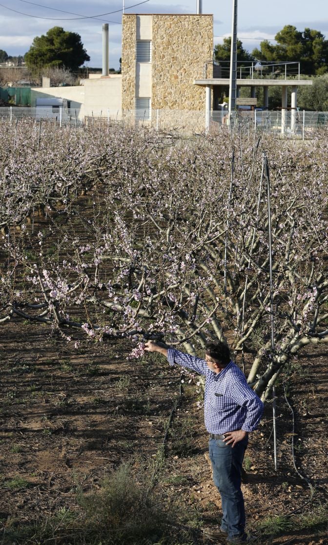 El cálido invierno asfixia al campo