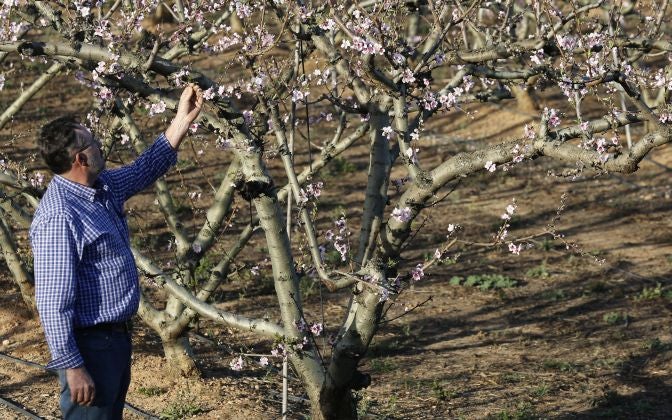 El cálido invierno asfixia al campo