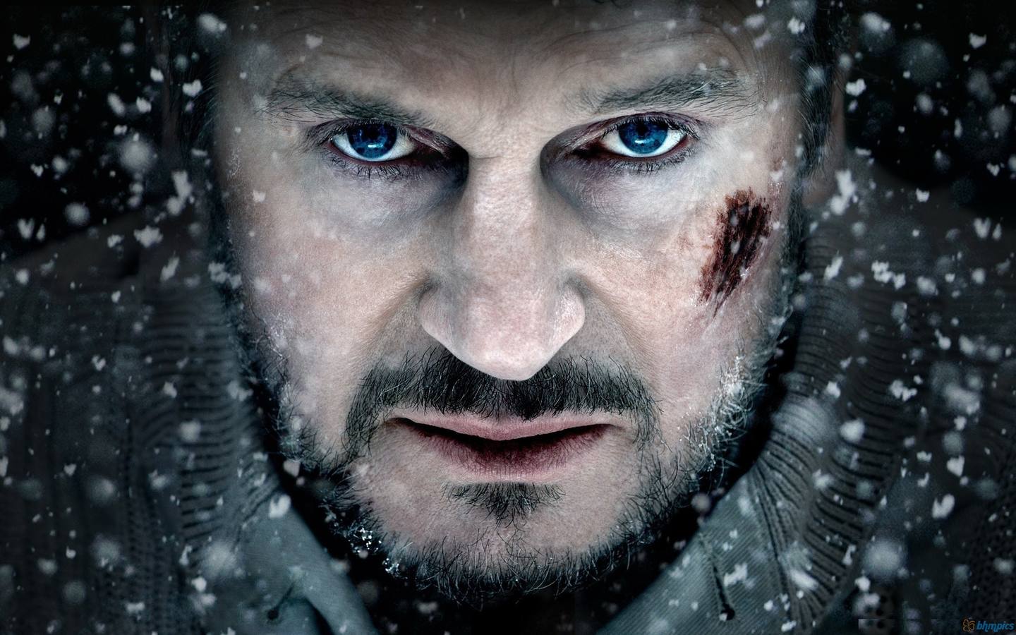 Infierno Blanco (2011). John Ottway (Liam Neeson) es el líder de un indisciplinado grupo de trabajadores de una refinería cuyo avión se estrella en las remotas montañas de Alaska. Los supervivientes, expuestos a heridas mortales y un tiempo inclemente, disponen de pocos días para escapar de los gélidos elementos. Y por si el terrible frío fuera poco enemigo, una manada de lobos salvajes, amenazantes y sanguinarios, persiguen incansablemente a sus presas humanas. A medida que las indefensas víctimas caen una a una, las posibilidades de supervivencia del último de estos hombres son cada vez más remotas.