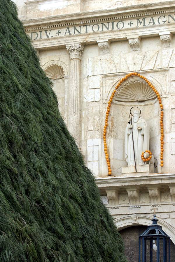 La celebración de Sant Antoni de Canals, en imágenes