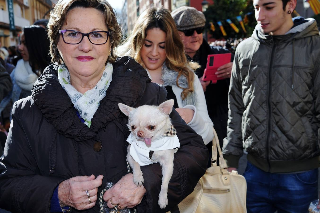 Bendición de animales en San Antonio (II)