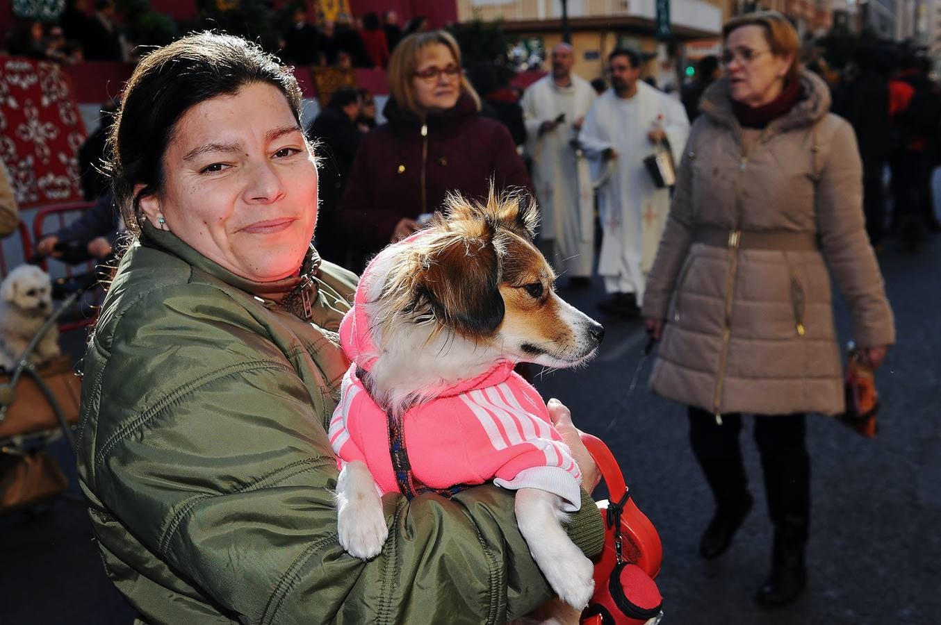 Bendición de animales en San Antonio (II)