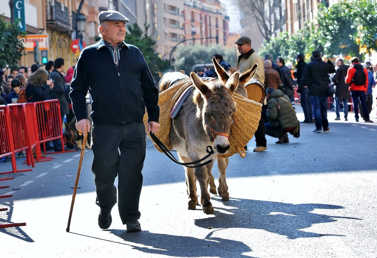 Bendición de animles en San Antonio