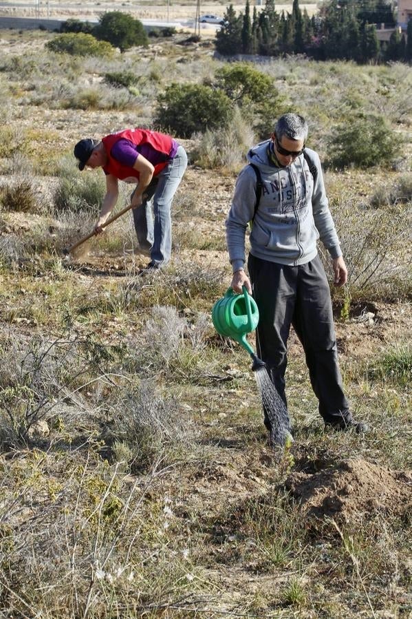 Reforestación en el Benacantil y en Orgeggia