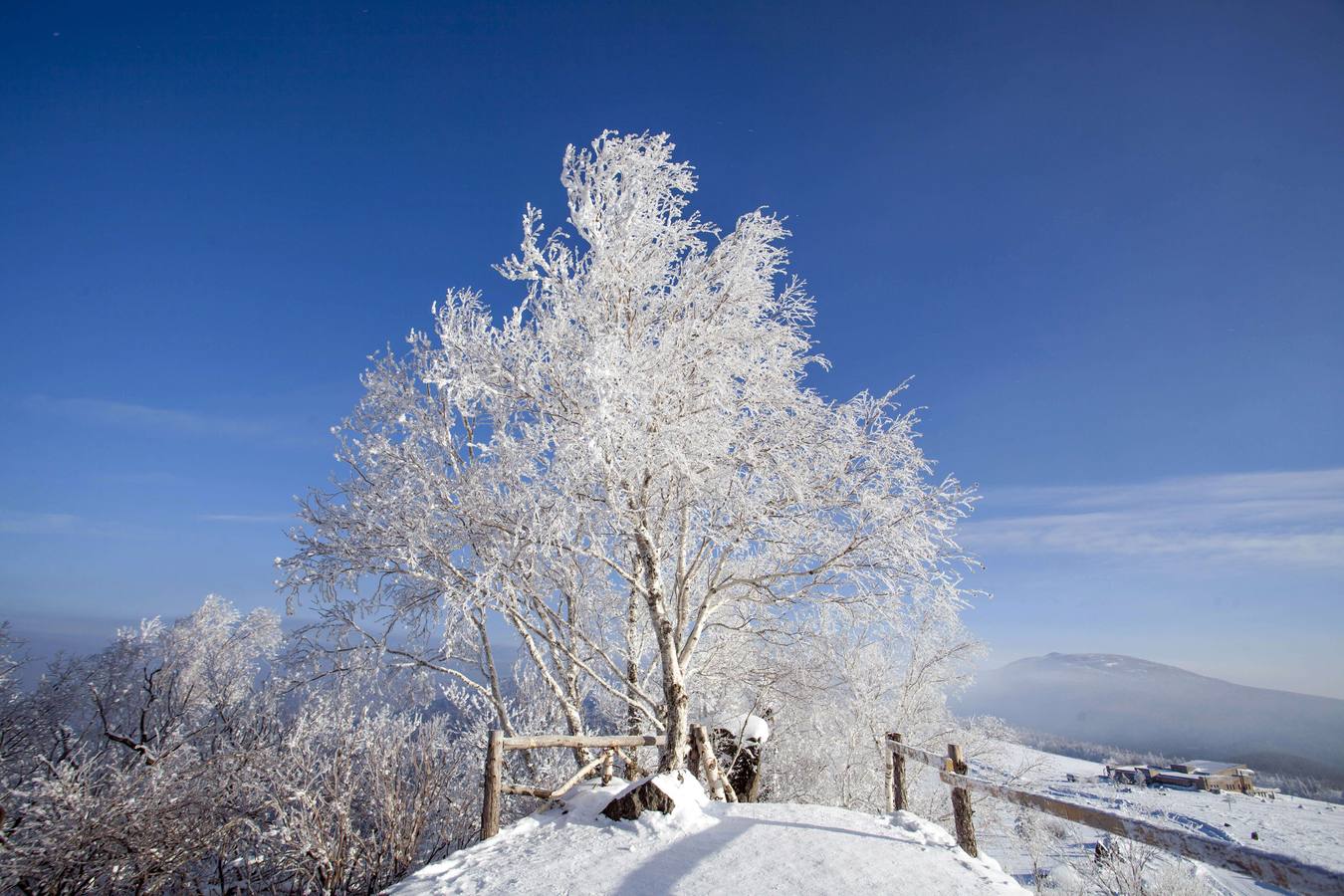 Los colores del invierno