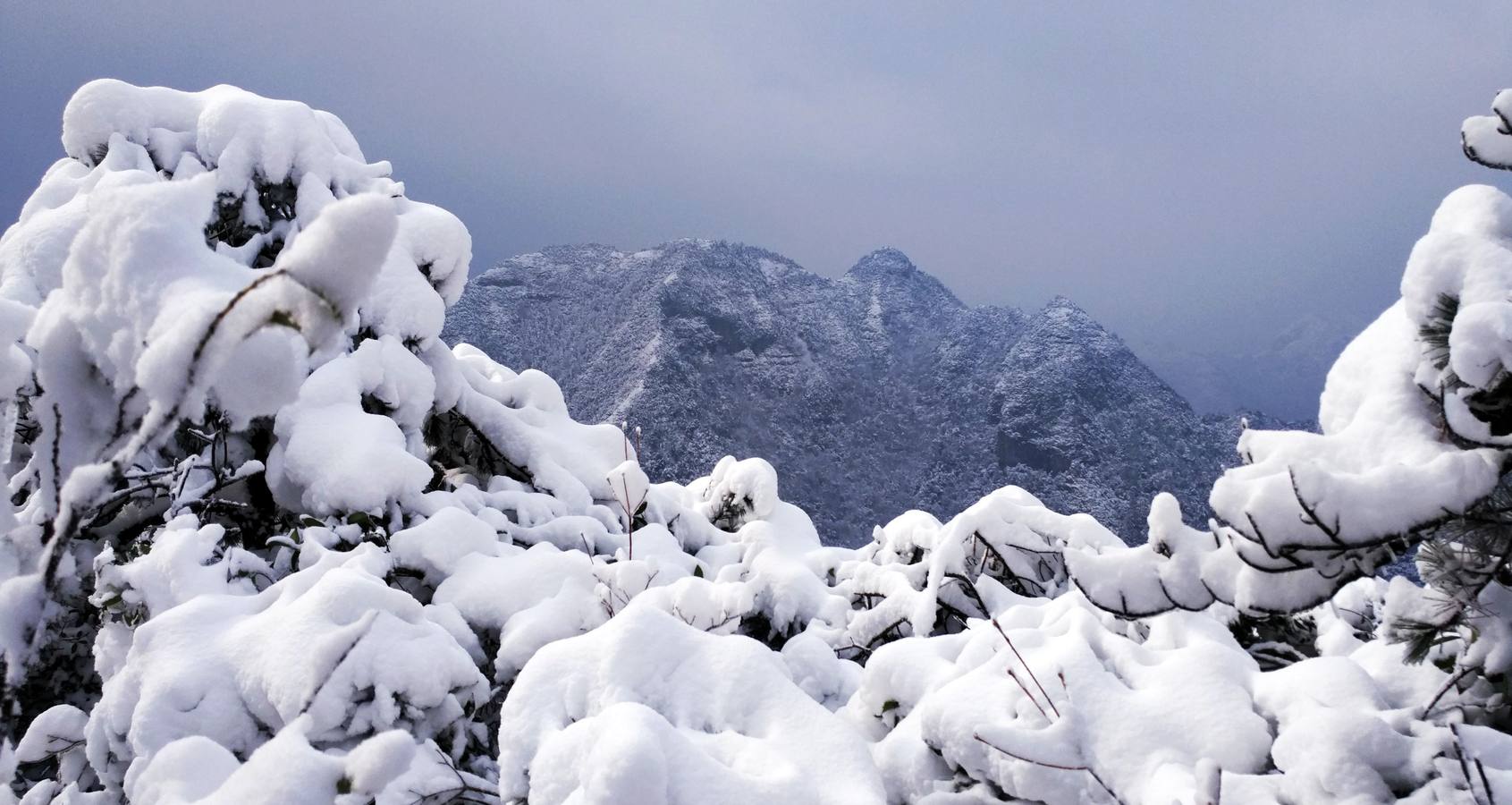 Los colores del invierno