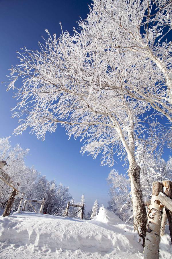 Los colores del invierno