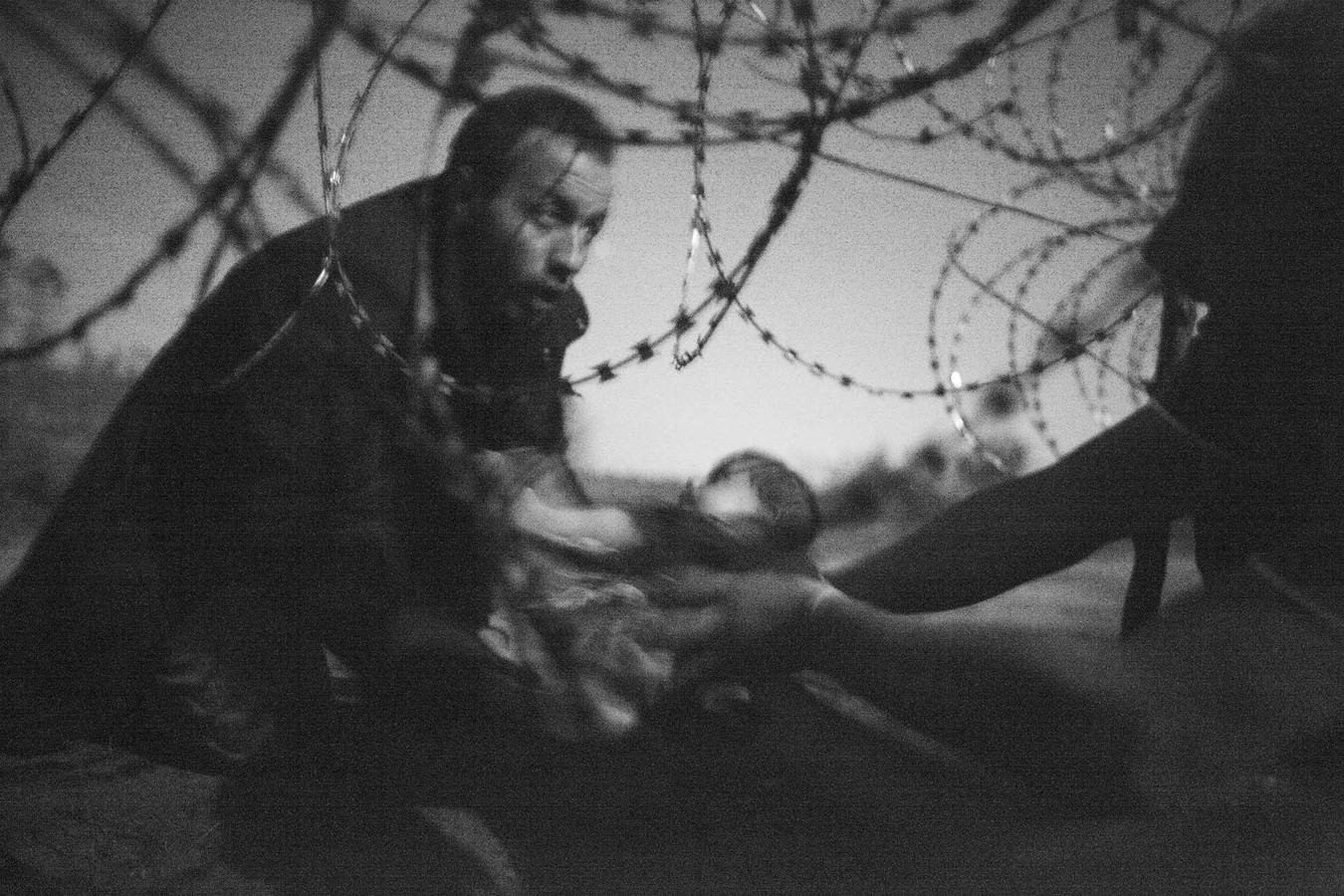 La máxima distinción del fotoperiodismo mundial ha sido en 2015 para la fotografía, en blanco y negro, muestra un hombre pasando a un bebe a través de la valla de alambre de espino en Roeszke, en la frontera entre Serbia y Hungría, el 28 de agosto de 2015.