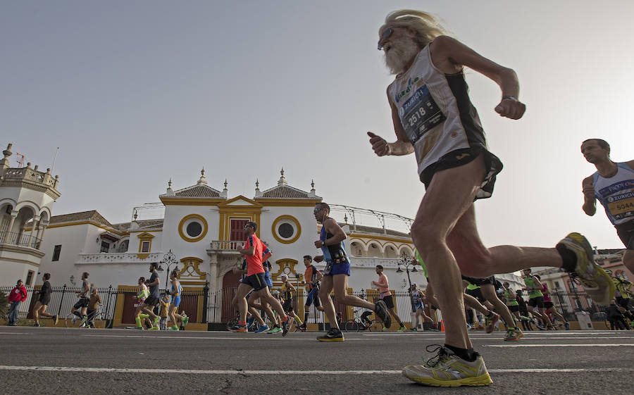 Fotos del Maratón de Sevilla 2016