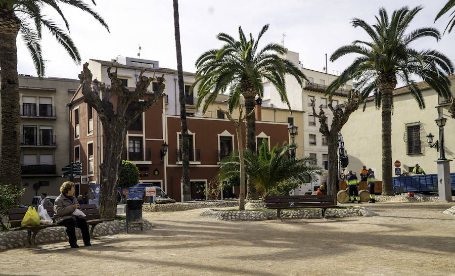 Infraestructuras retira las palmeras muertas de parques y jardines públicos