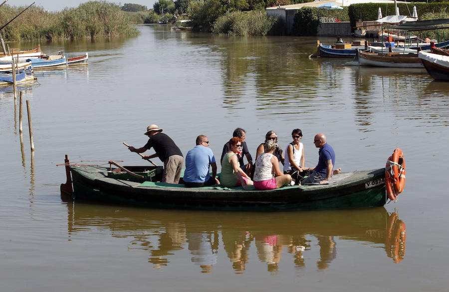 Parque Natural de La Albufera