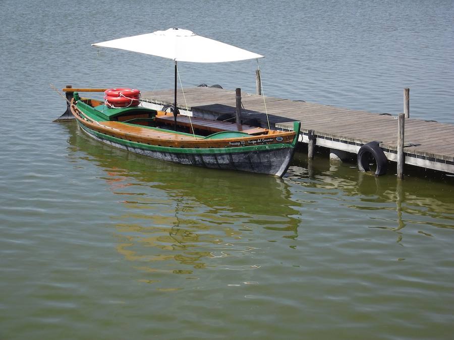 Parque Natural de La Albufera