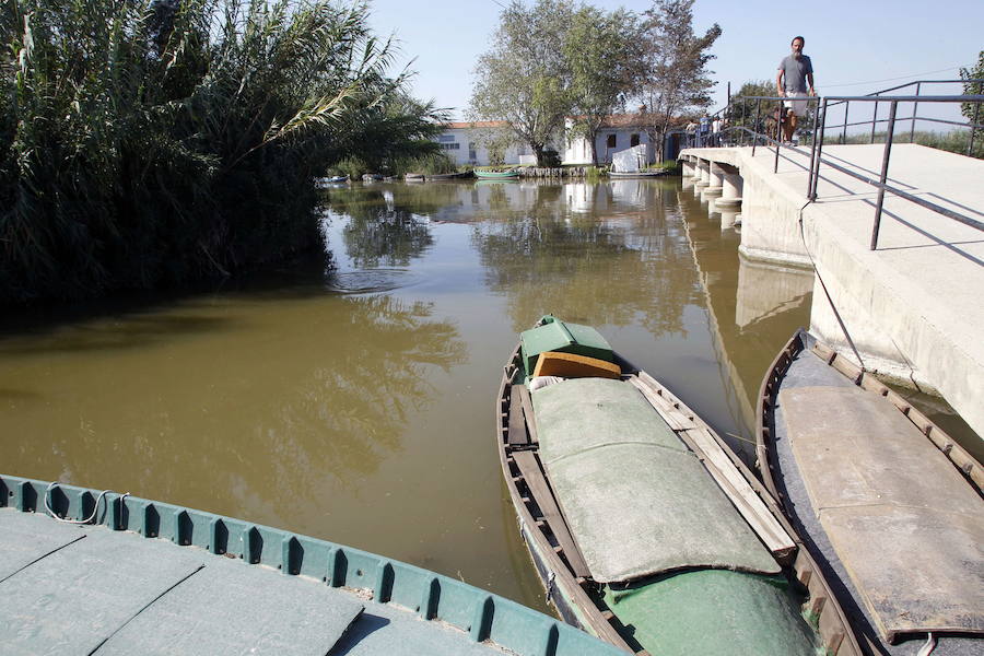 Parque Natural de La Albufera