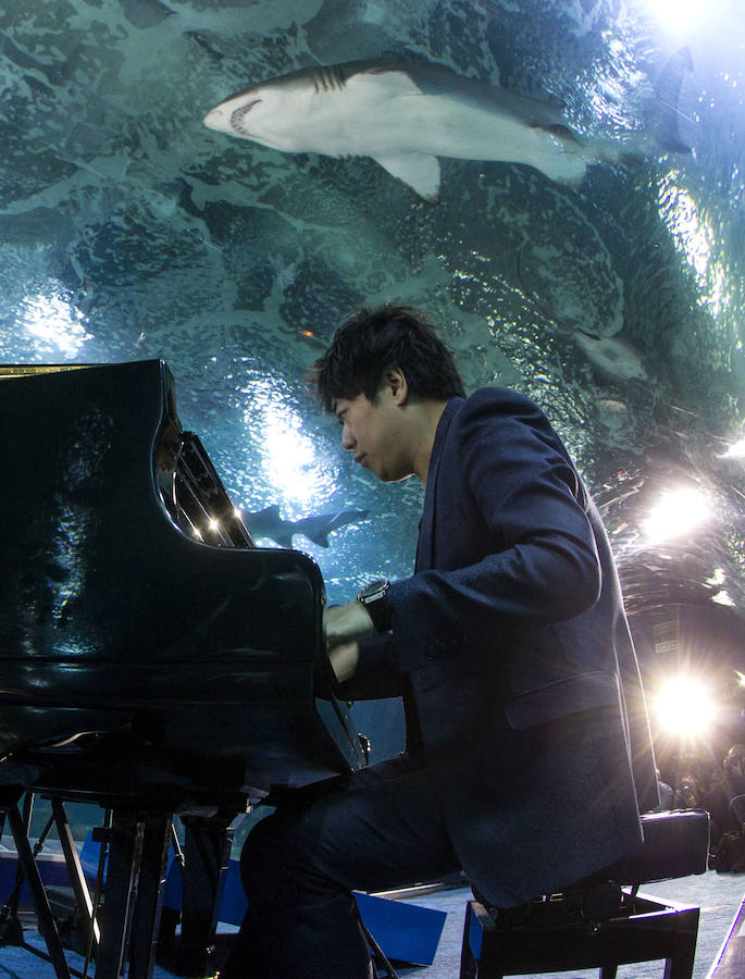 Lang Lang, en el túnel de los tiburones del Oceanogràfic