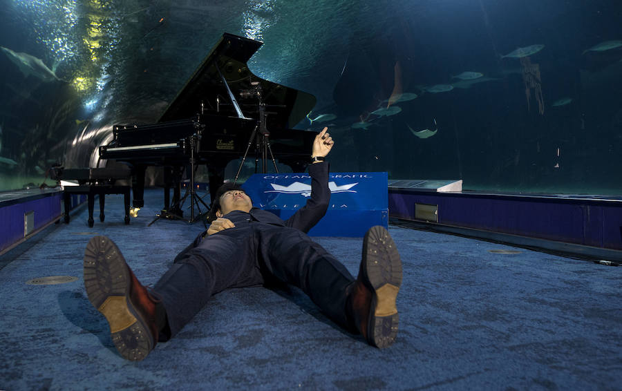 Lang Lang, en el túnel de los tiburones del Oceanogràfic