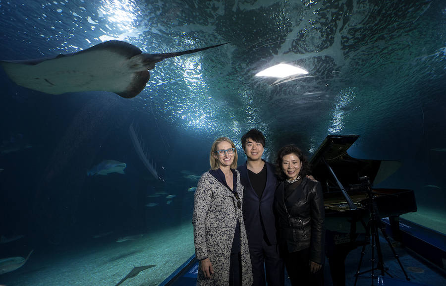 Lang Lang, en el túnel de los tiburones del Oceanogràfic