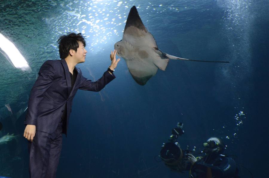 Lang Lang, en el túnel de los tiburones del Oceanogràfic