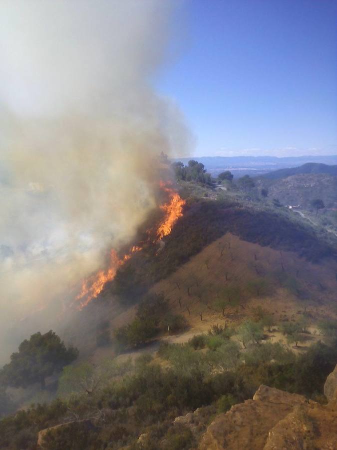 Incendio forestal en Segart