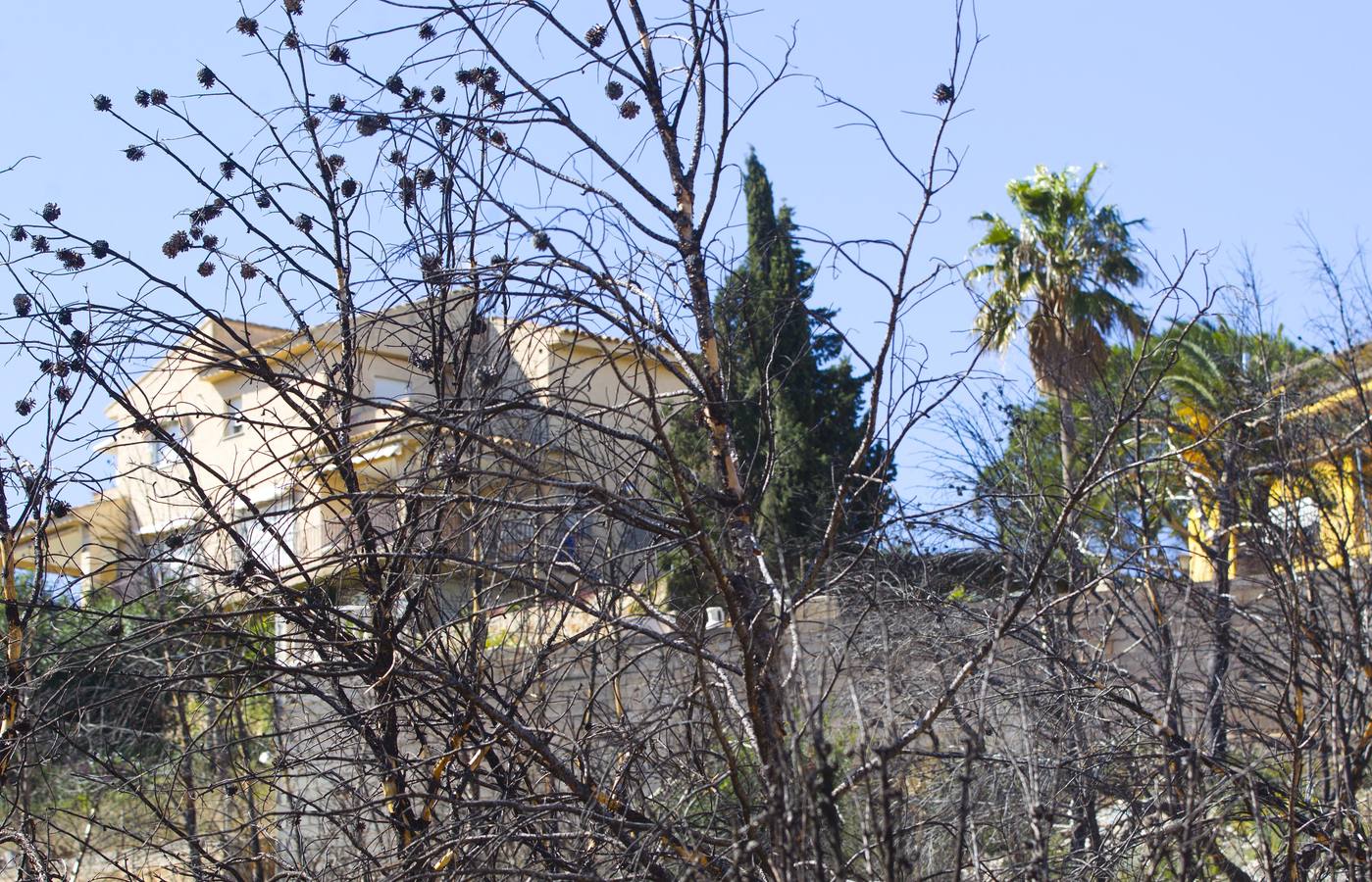 Aspecto que presenta la urbanización Sierra Perentxiza de Godelleta, en imágenes