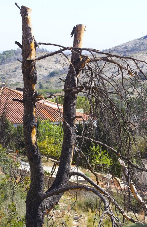 Aspecto que presenta la urbanización Sierra Perentxiza de Godelleta, en imágenes