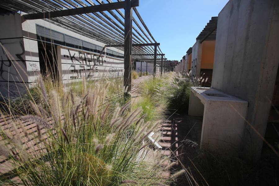 El Instituto Valenciano de la Paella, en ruinas una década después