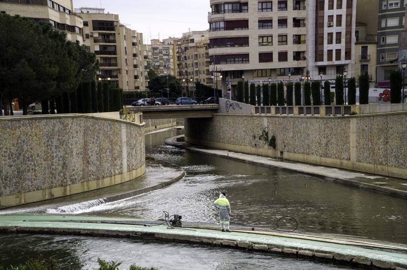 Medio Ambiente limpia el cauce urbano del río Segura ante la inacción de la Confederación