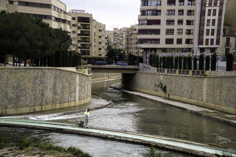 Medio Ambiente limpia el cauce urbano del río Segura ante la inacción de la Confederación