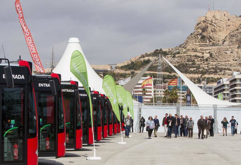 Nuevos autobuses urbanos en Alicante