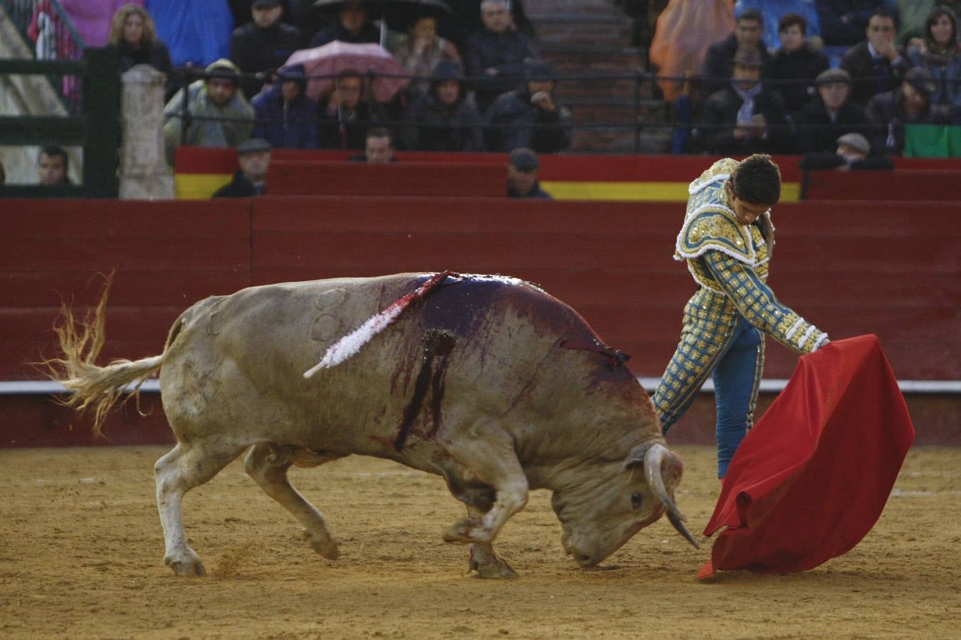 Sólo Ponce salca algo postivo