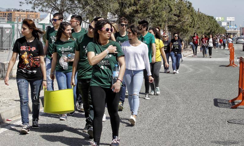 Multitudinaria fiesta de primavera en la UA