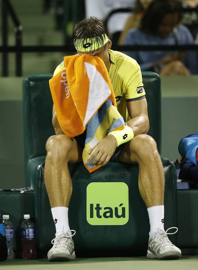 David Ferrer, eliminado en tercera ronda del Masters de Miami