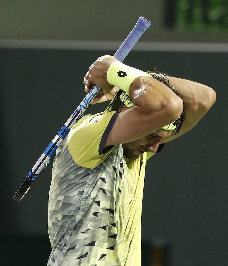 David Ferrer, eliminado en tercera ronda del Masters de Miami