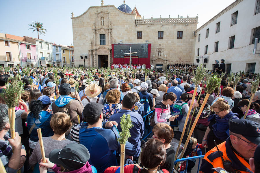 Miles de romeros participan en la Peregrina (II)