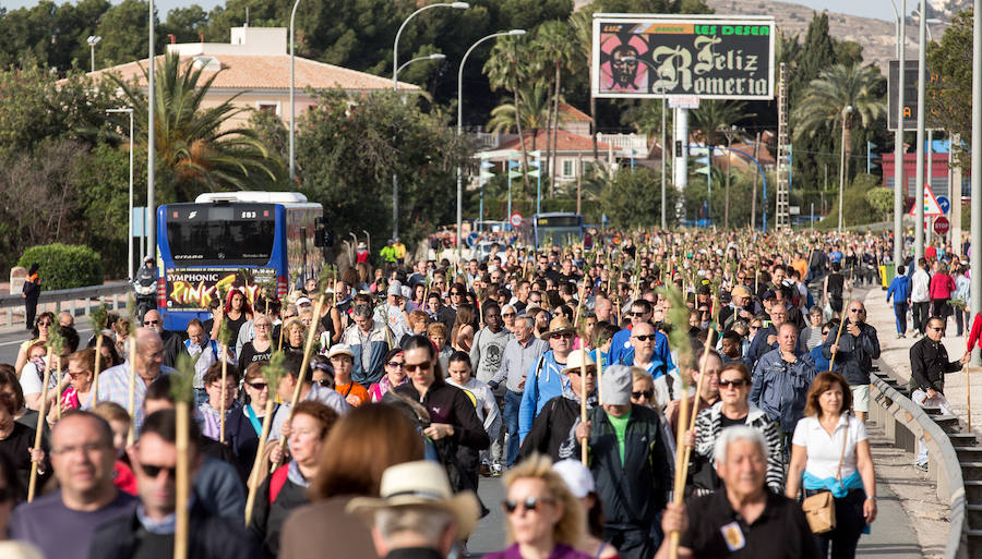 Miles de romeros participan en la Peregrina (II)