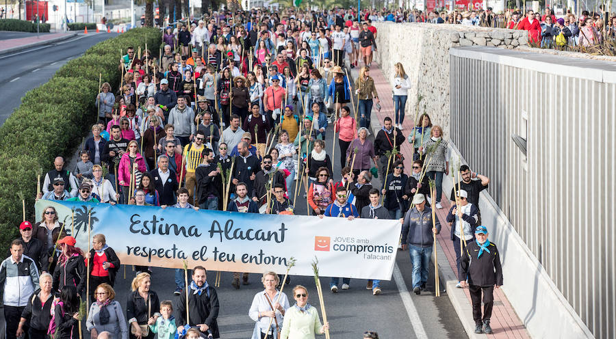 Miles de romeros participan en la Peregrina (II)