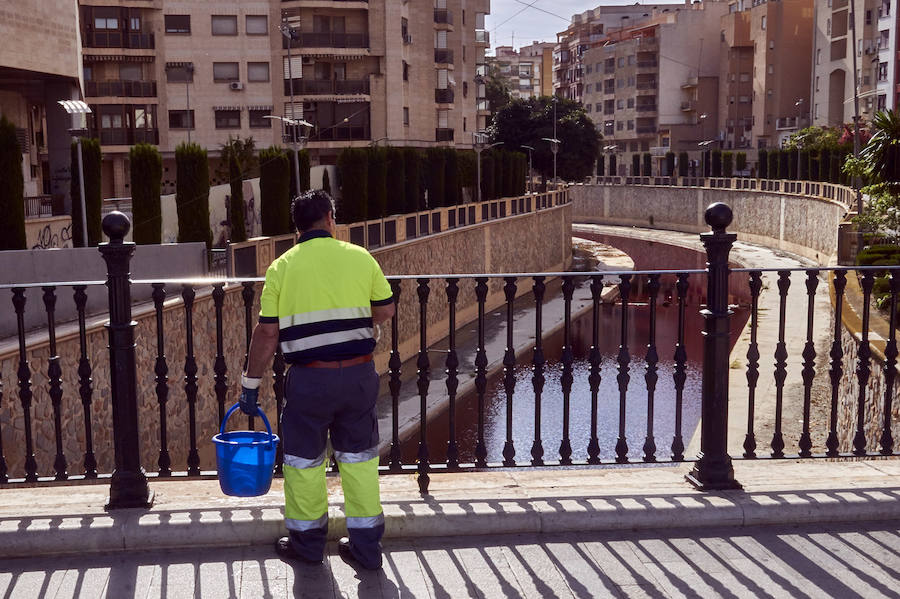 La CHS investiga un vertido de color rojo en el río Segura