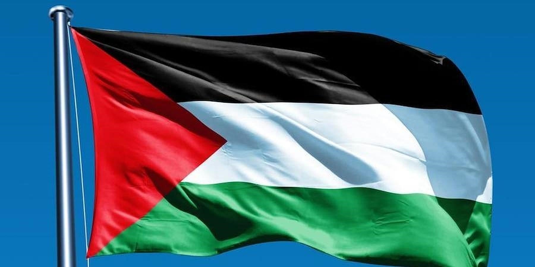 Bandera de Palestina.