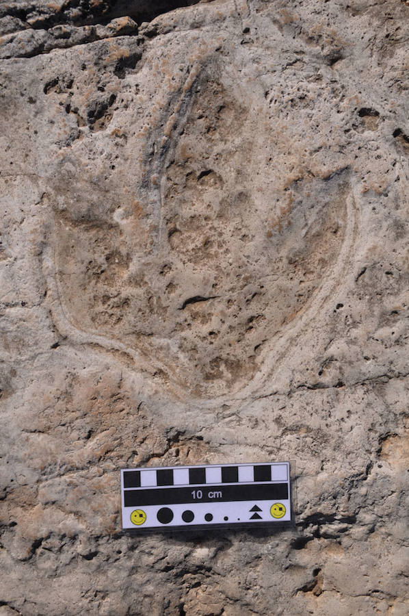Yacimientos de dinosaurios cerca de Valencia