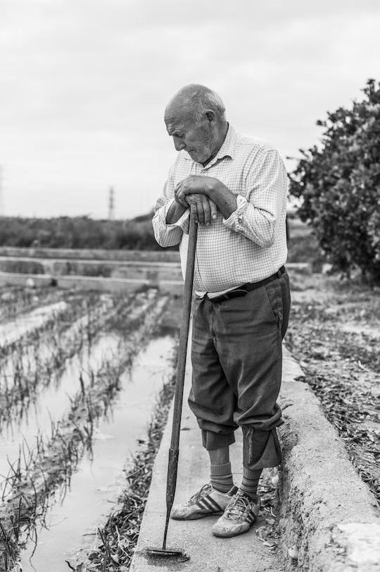 Jacinto, una vida dedicada a la huerta