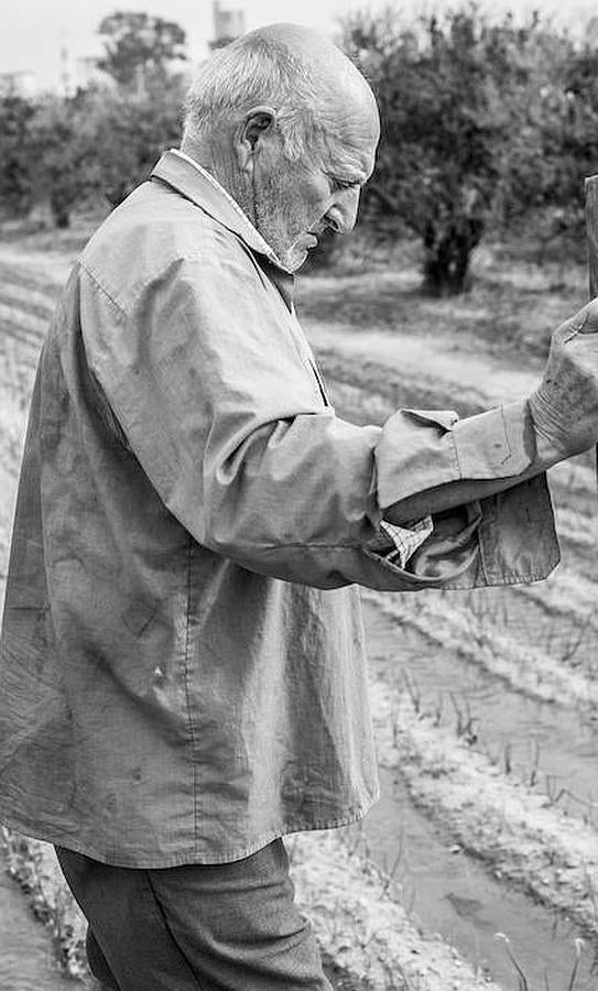 Jacinto, una vida dedicada a la huerta