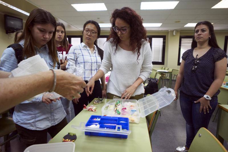 Taller de repostería en la UMH