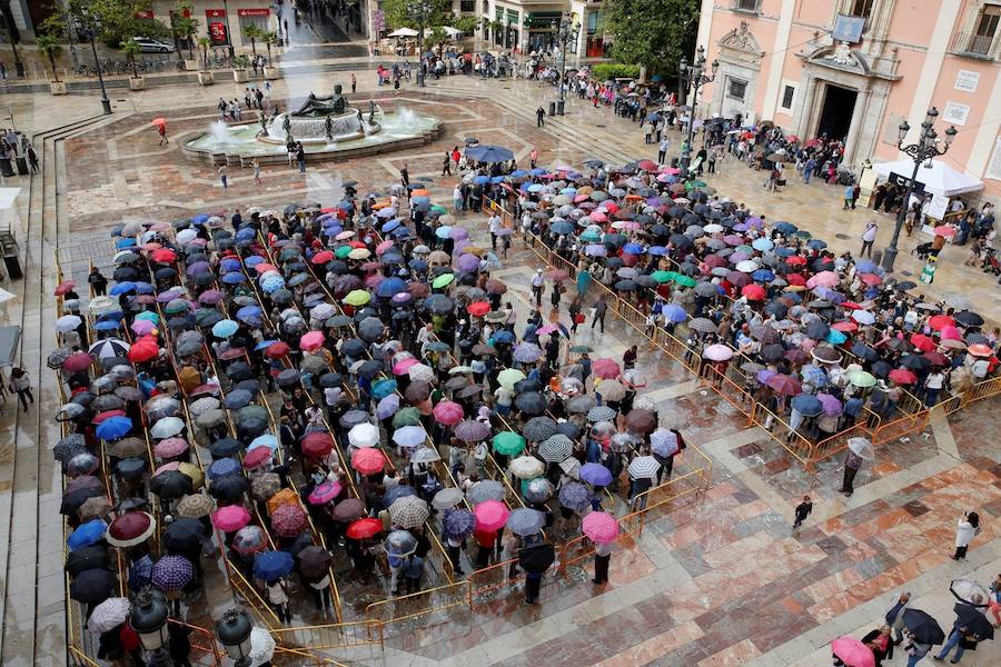 Fotos del Besamanos a la Virgen de los Desamparados (3)