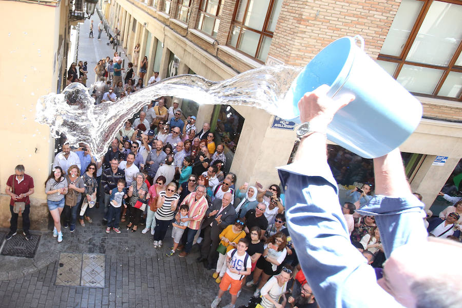 Fotos del Corpus Christi 2016 en Valencia