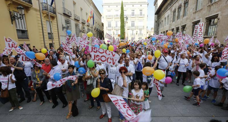 Una cadena humana en Valencia por la libertad educativa