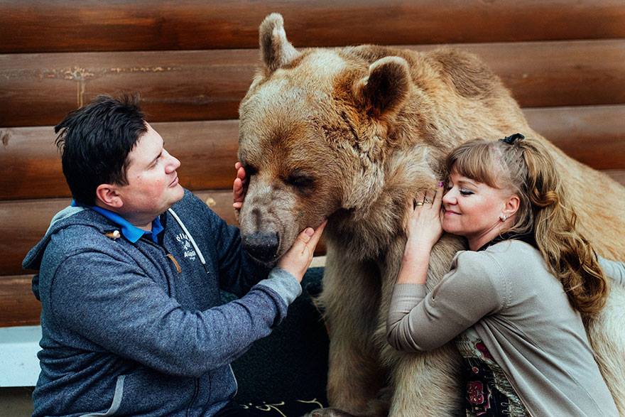 El oso más humano