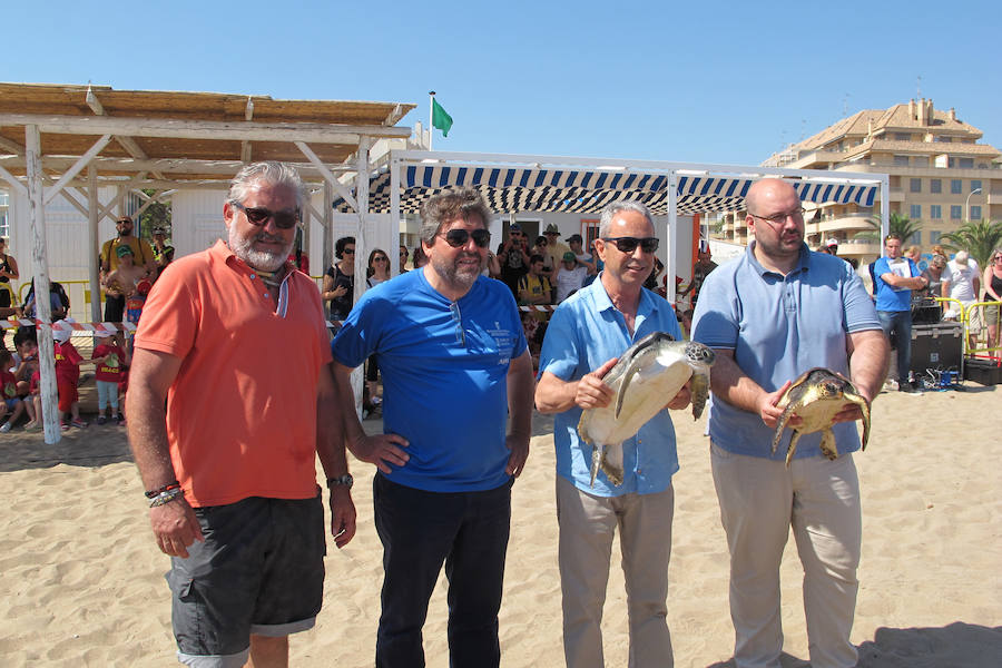 Dos tortugas regresan al mar en Dénia