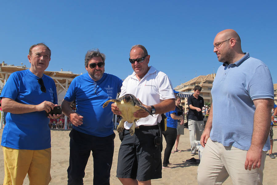 Dos tortugas regresan al mar en Dénia