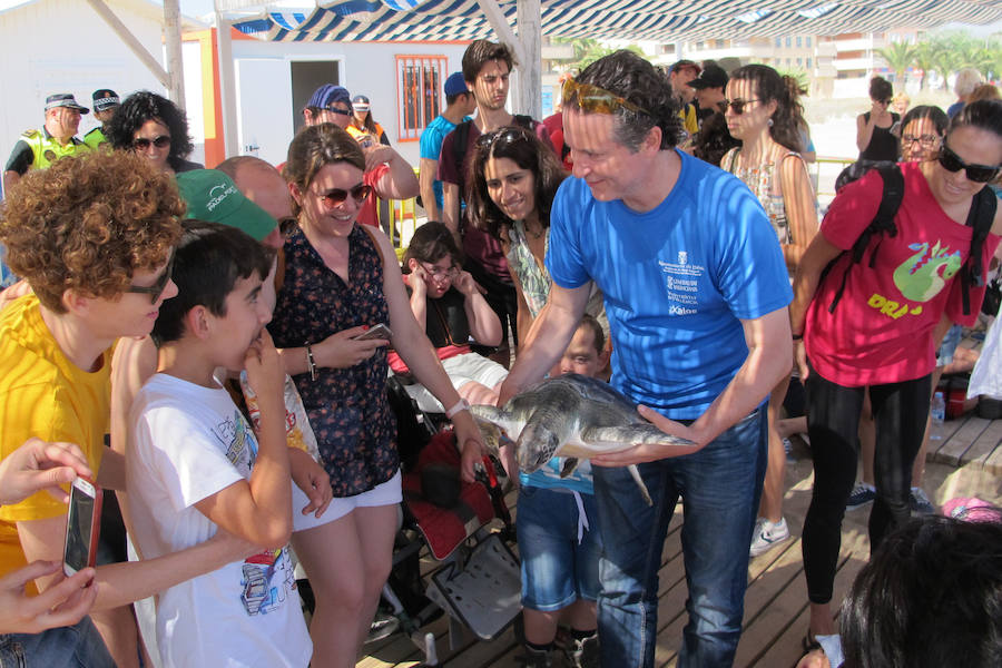 Dos tortugas regresan al mar en Dénia