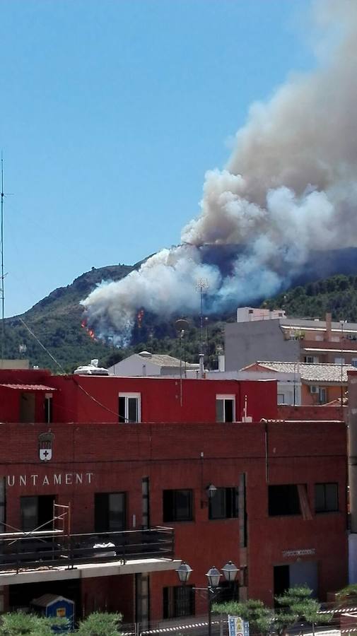 Fotos del incendio forestal de Faura