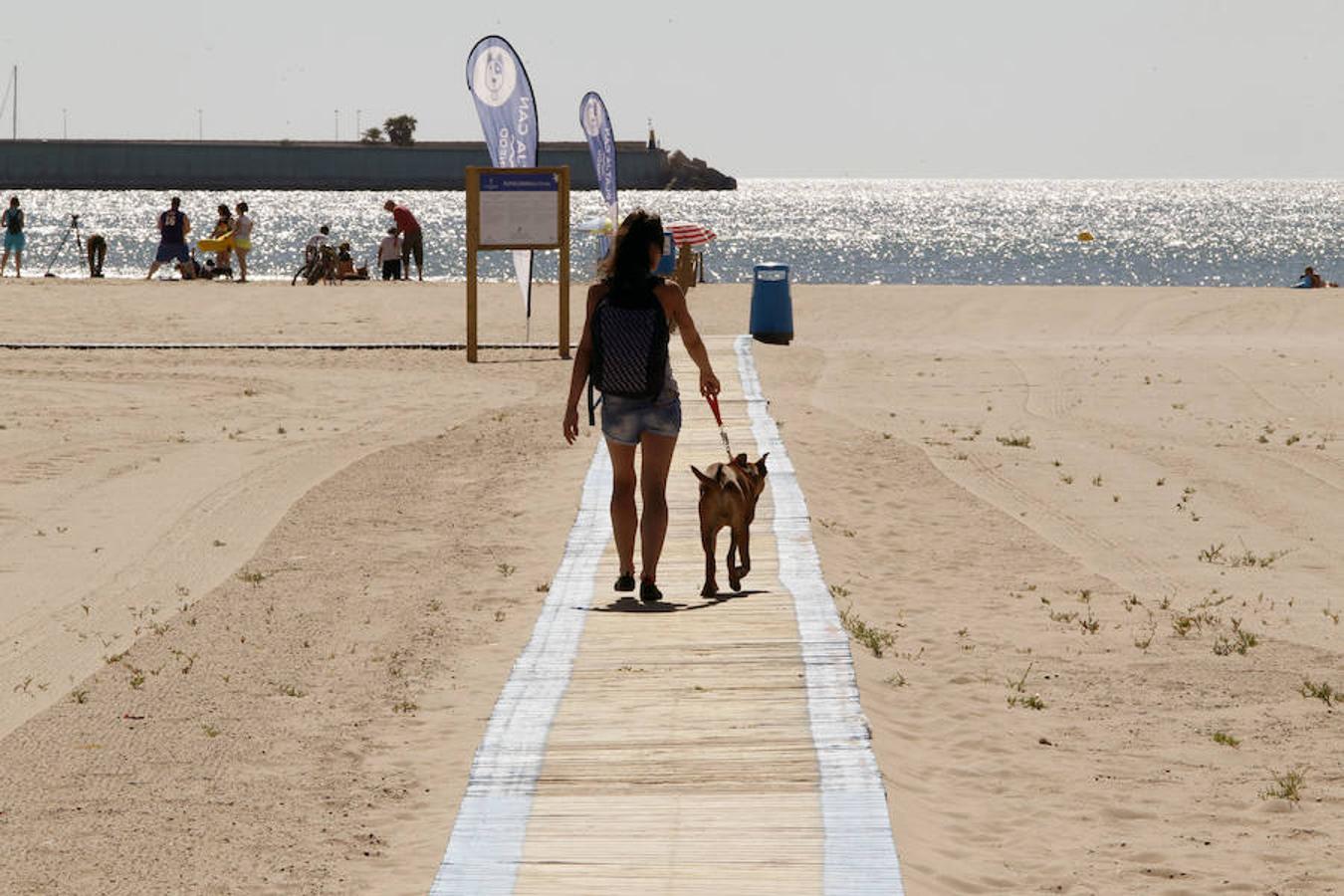 Fotos de la playa de perros en Pinedo